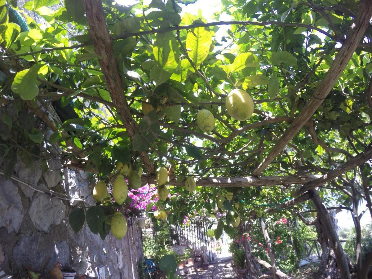 Casa Hermosa Amalfi Ngoại thất bức ảnh